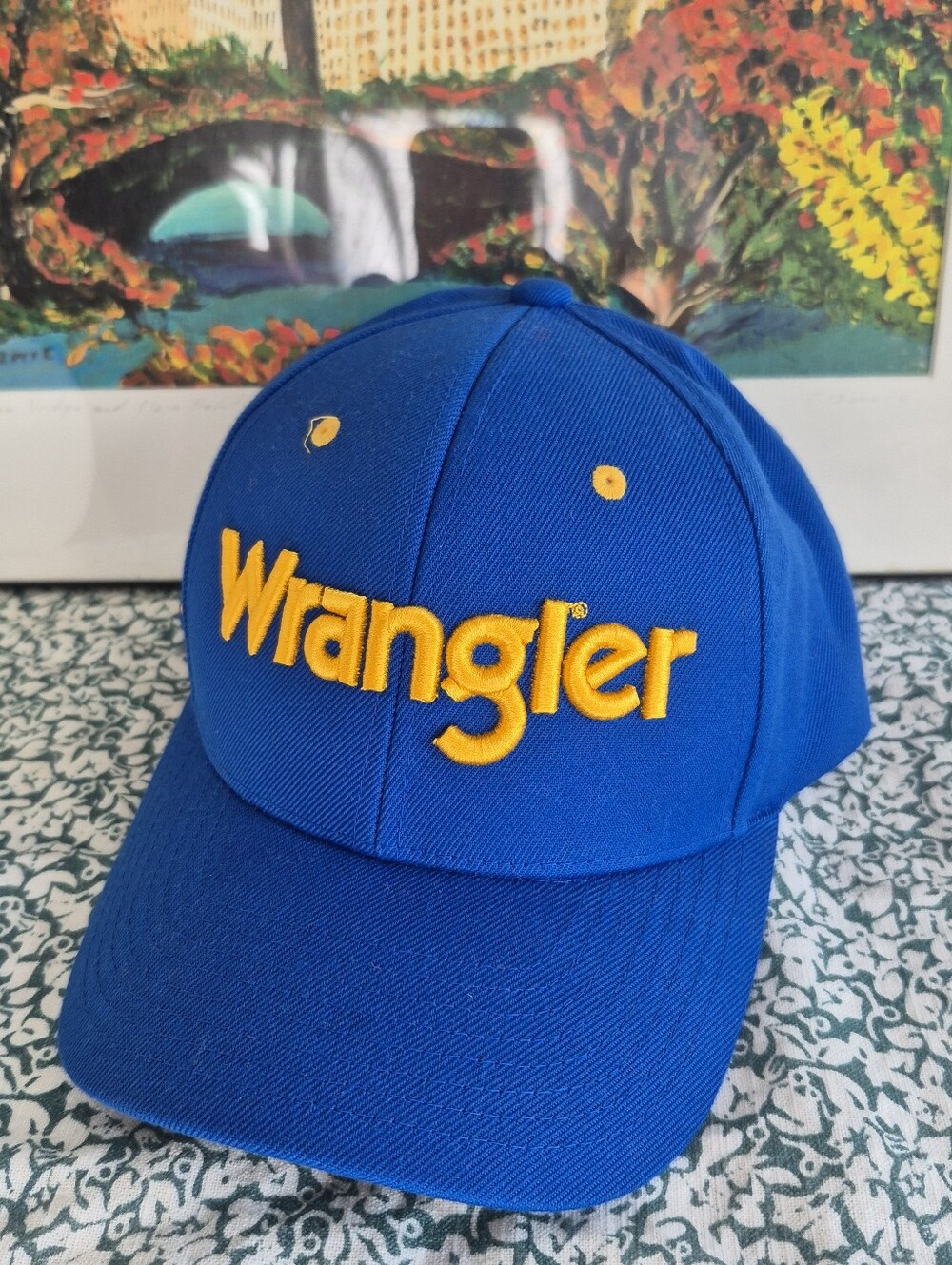 NWT★ Wrangler Embodiment Cap